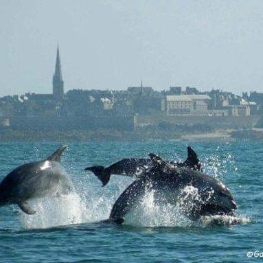 Le Clos Boheme Lejlighed Saint-Malo Eksteriør billede